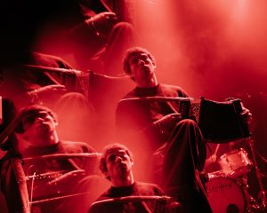 Festival Logo Cardinals