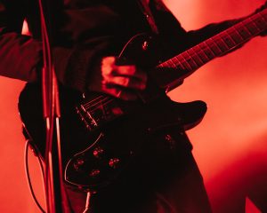 Festival Logo Cardinals