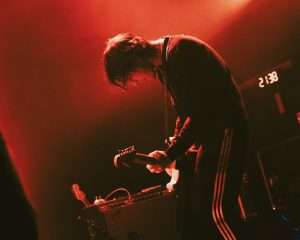 Festival Logo Cardinals