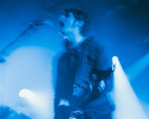 Festival Logo Cardinals