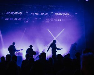 Festival Logo Cardinals