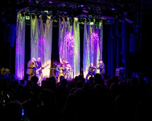 Festival Logo Amsterdam Klezmer Band