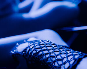 Festival Logo Nachtcollege