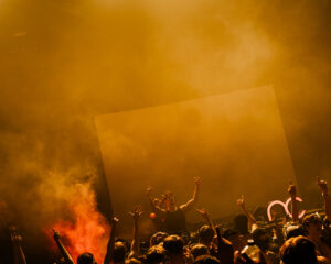 Festival Logo Nachtcollege