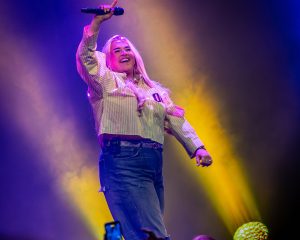 Festival Logo t Hollandse Roosje