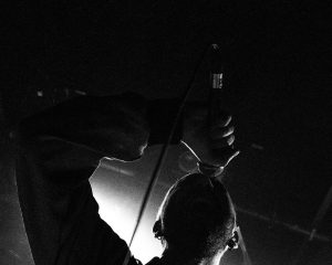 Festival Logo Humour