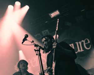 Festival Logo Queen’s Pleasure