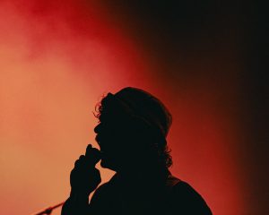 Festival Logo Queen’s Pleasure