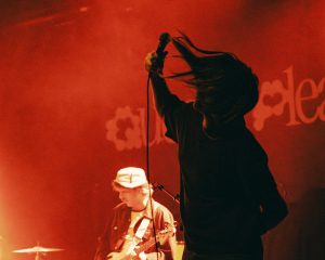 Festival Logo Queen’s Pleasure