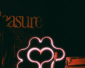 Festival Logo Queen’s Pleasure