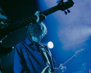 Festival Logo Queen’s Pleasure