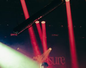 Festival Logo Queen’s Pleasure