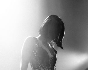 Festival Logo jet van der steen