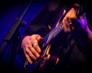 Festival Logo Folk Bitch Trio