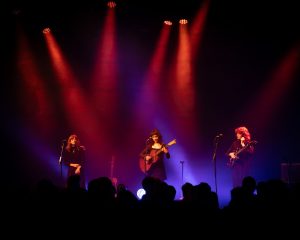 Festival Logo Folk Bitch Trio