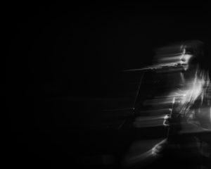 Festival Logo Folk Bitch Trio