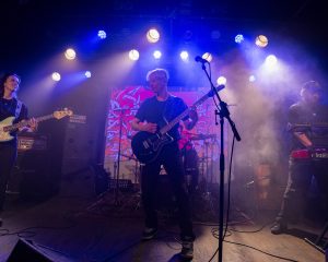 Festival Logo Elephant Tree