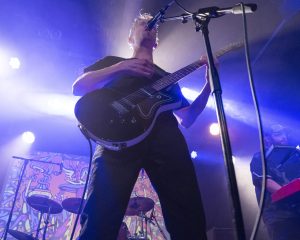 Festival Logo Elephant Tree