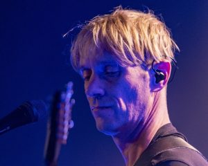 Festival Logo Elephant Tree