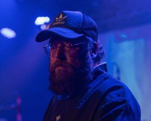 Festival Logo Elephant Tree