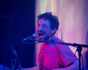 Festival Logo Elephant Tree