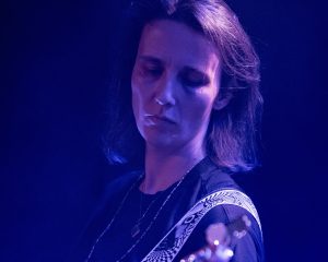 Festival Logo Elephant Tree