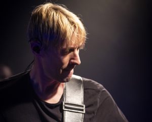 Festival Logo Elephant Tree