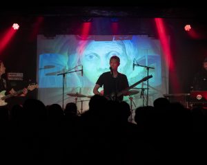 Festival Logo Elephant Tree