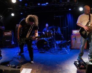 Festival Logo Elephant Tree