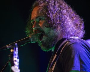 Festival Logo Elephant Tree