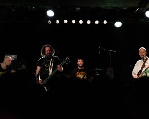 Festival Logo Elephant Tree