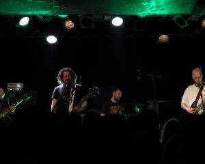 Festival Logo Elephant Tree