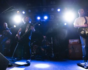 Festival Logo Elephant Tree