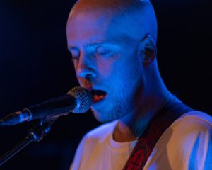 Festival Logo Elephant Tree