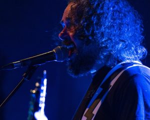 Festival Logo Elephant Tree