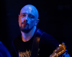 Festival Logo Elephant Tree