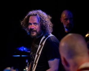 Festival Logo Elephant Tree