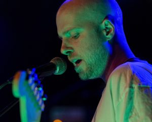 Festival Logo Elephant Tree