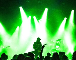 Festival Logo Dinosaur Pile-Up + snake eyes