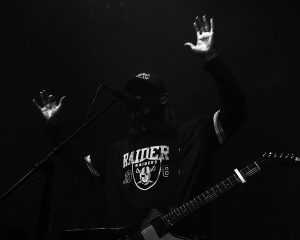 Festival Logo Dinosaur Pile-Up + snake eyes