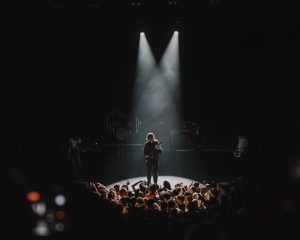 Festival Logo Geese + Westside Cowboy