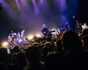 Festival Logo Geese + Westside Cowboy