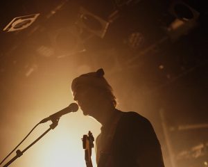 Festival Logo Shelf Lives
