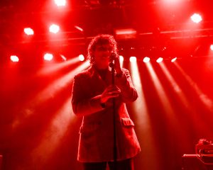 Festival Logo Amanda Bergman