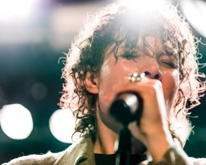 Festival Logo Amanda Bergman