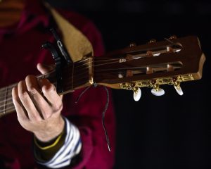 Festival Logo Amanda Bergman