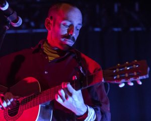 Festival Logo Amanda Bergman