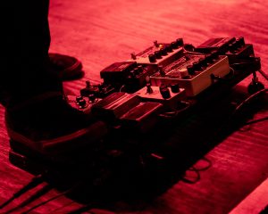 Festival Logo Säm Wilder