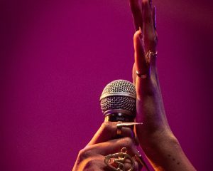 Festival Logo Selah Sue and The Gallands