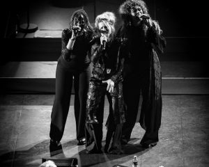 Festival Logo Selah Sue and The Gallands